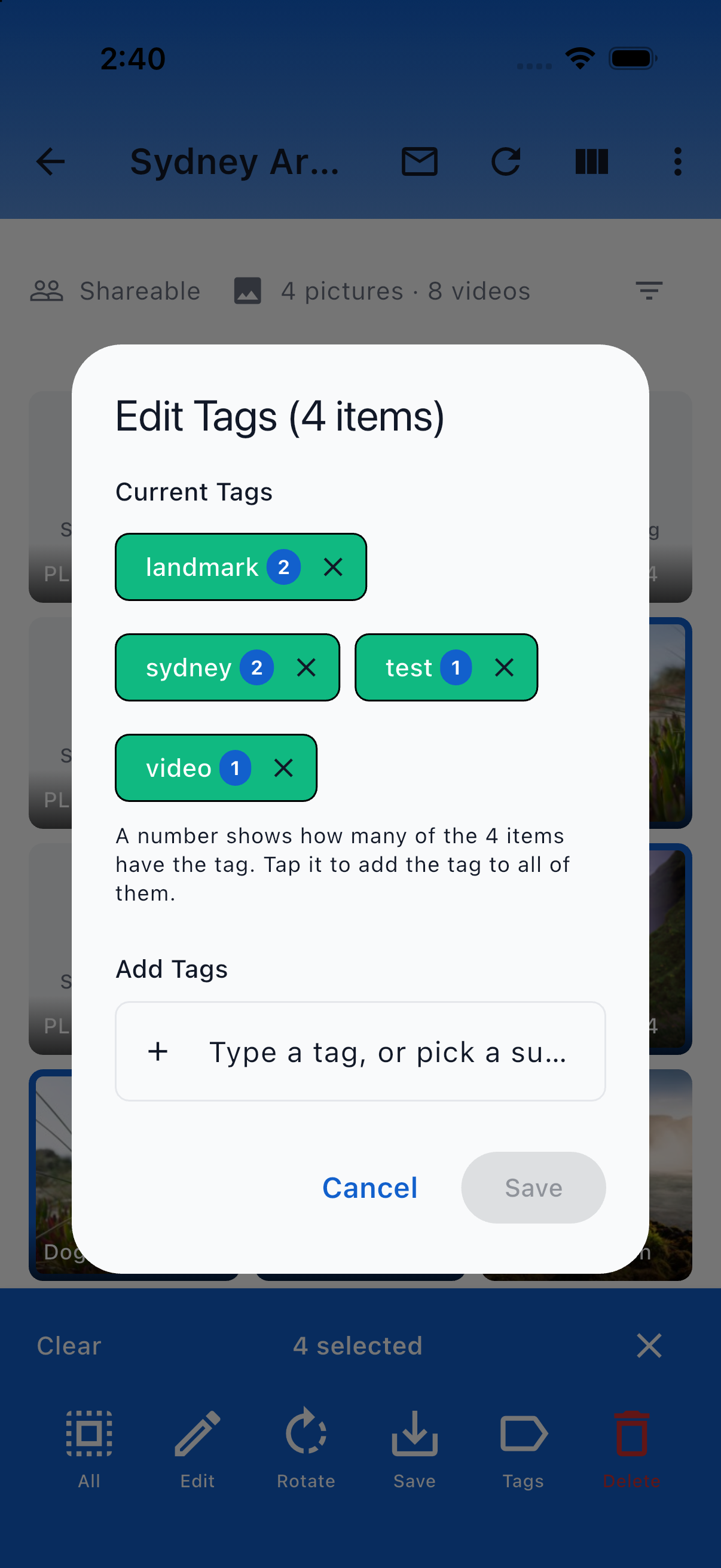 The bulk Edit Tags dialog