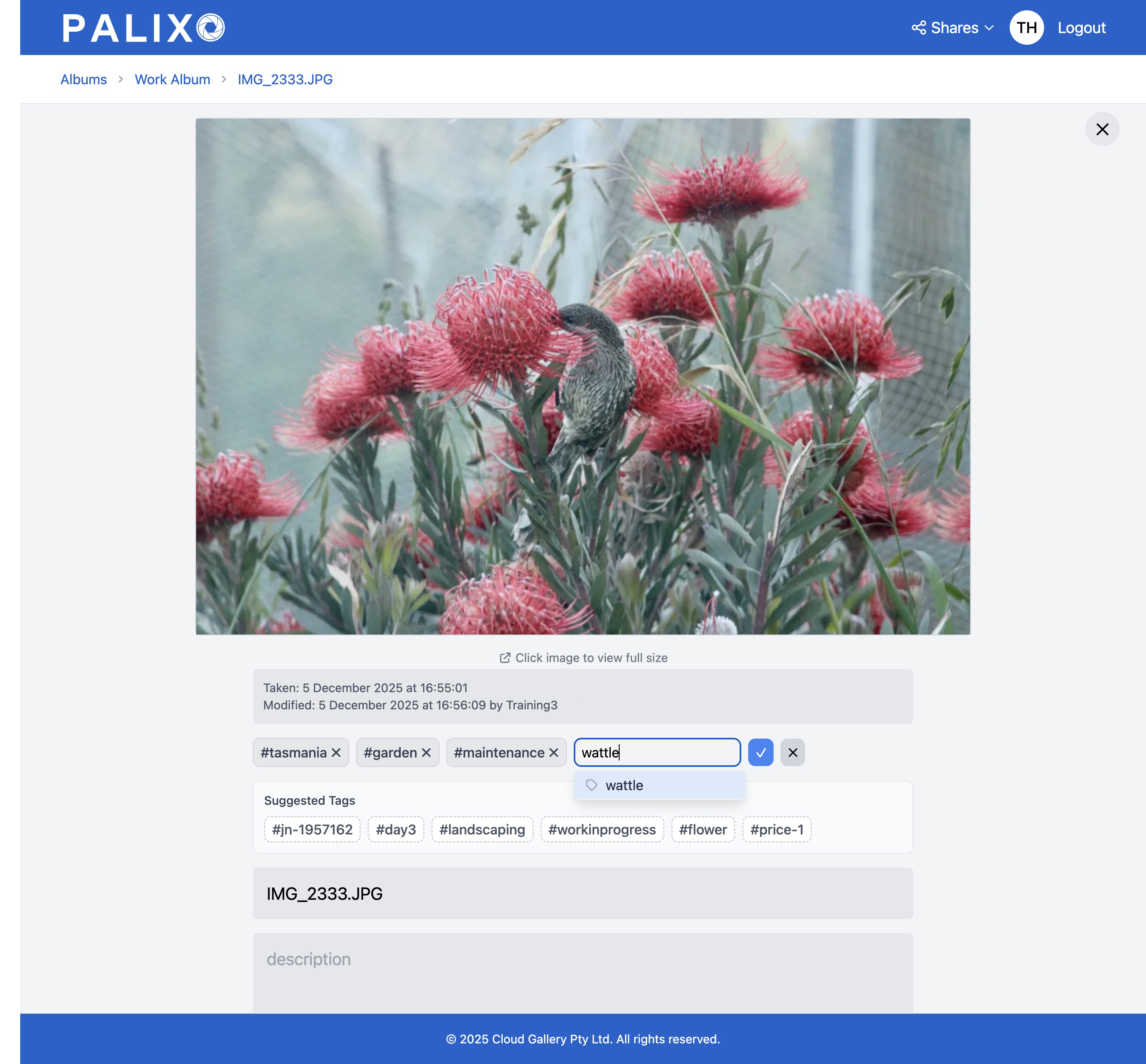 Photo detail page showing tag editing interface