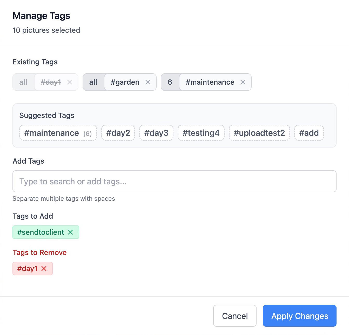 Tag management modal showing existing tags with counts